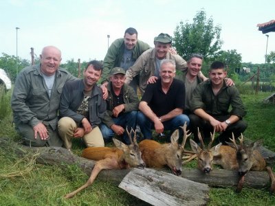 Roe Deer hunting